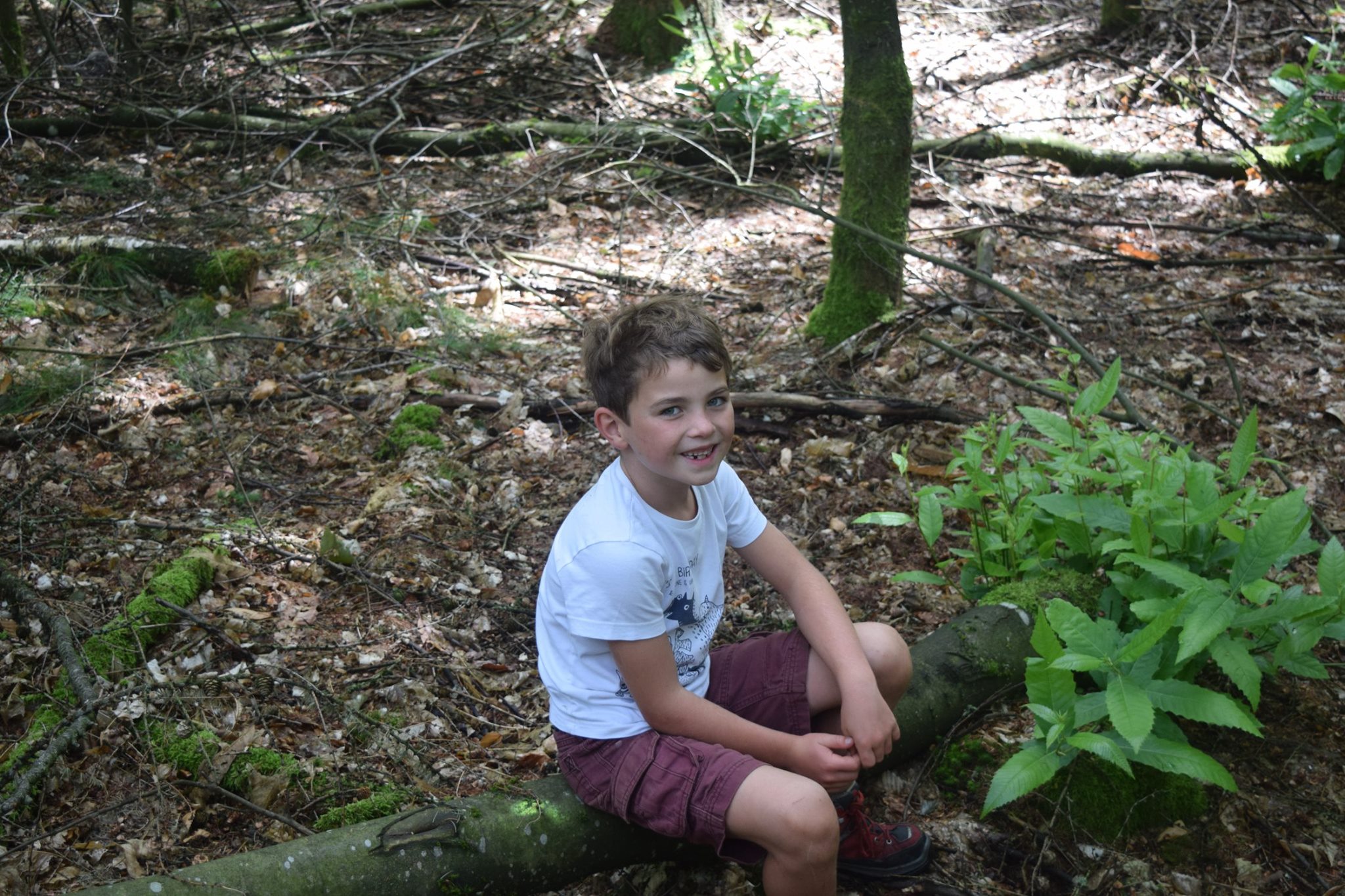 Sint-Martinus den XIIde - Kamp Losange KK